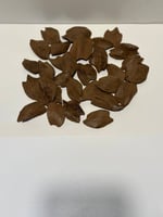 شيخ المجالس