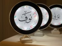 مرايا مضيئة اطار ورد