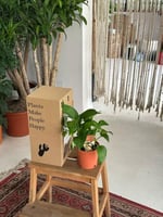 بوتس مع بوكس اهداء