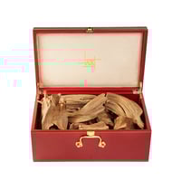 موروكي اندرووتر