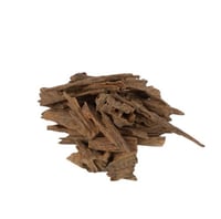 فلبيني نوادر غابات