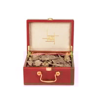 فلبيني نادر