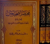 مختصر الصحيحين للحفاظ ٣/١