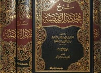 شرح مختصر الروضة 3/1