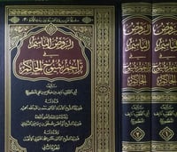 الروض الباسم في تراجم شيوخ الحاكم 2/1