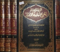 التعريف والاخبار بتخريج احاديث الاختيار 4/1