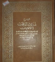 شرح شذور الذهب في معرفة كلام العرب