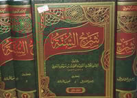 شرح السنة 3/1