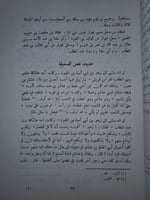 تهذيب سيرة ابن هشام