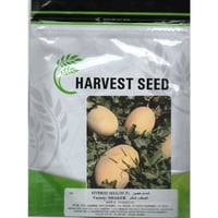 شمام صنف شاكر F1 هجين