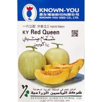 بذور شمام صيني صنف رد كوين