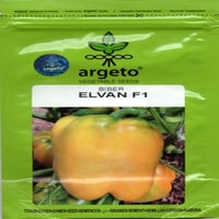 بذور فلفل رومي اصفر F1 هجين