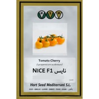 طماطم شيري أصفر F1صنف نايس