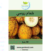 بذور شمام روسي