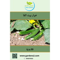 خيار صنف بيت الفا مكشوف