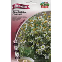 زهور البابونج