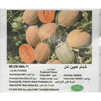 شمام منقاوي هجين F1