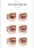 عدسات بيلا ايليت- نظر- شهرية - مع محلول