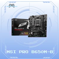 MSI PRO B650M-B