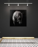 لوحة خجيلان-لوحات جدارية خيل.