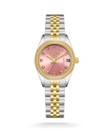 ساعة فَجر – Dawn | الوردي