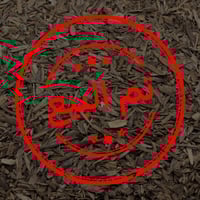 ديلي عود-دقة هندي سوبر مرتفع