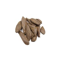 مروكي محسن القدية