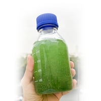 ورد كاشاني طبيعي