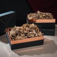 زوايا المجالس سوبر M