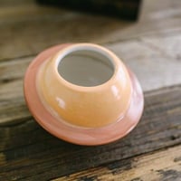 إناء نبتة كوكب