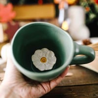 كوب زهرة الأقحوان