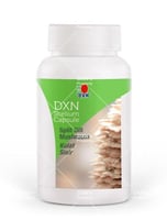 فطر السيليوم | 90 كبسولة | تعزيز للصحة والطاقة | D...