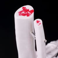 نموذج تشريح هيكل كاحل القدم