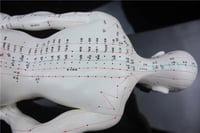 نموذج علاج بالابر الصينى 50 سم