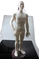 نموذج علاج بالابر الصينى 50 سم