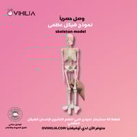 نموذج هيكل عظمى -Superstructure Model