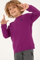 بلوفر بولو تخفيضات اليوم وطني