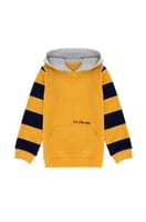 بلوفر بولو ولادي