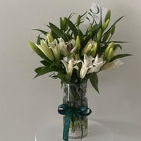 فازة الكازابلنكا