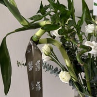 فازة البامبو (الخيزران) || جلد علية اسم