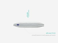مخدة دريم بلش || Dream plush pillow (P)