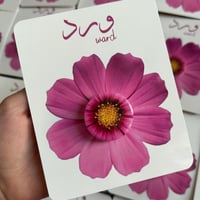 تصاميم لتوزيعات الكريمات اقل عدد لطلب 18 حبه