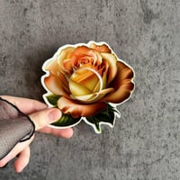 تصاميم لتوزيعات الكريمات اقل عدد لطلب 20 حبه