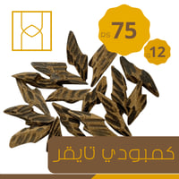 كمبودي تايقر