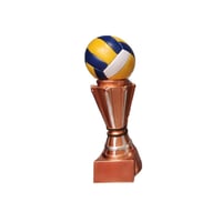 كاس كرة الطائرة