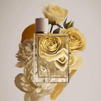 بربري هير لندن دريم او دو برفيوم 100مل