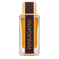 سلفاتور فيرغامو سبايسي ليذر سبيشال ايديشن بارفيوم...