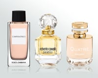 مجموعة السيدة الانيقة