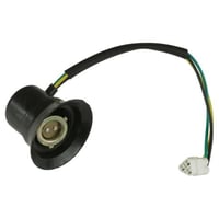 فيش نور امامي بانشي وكالة