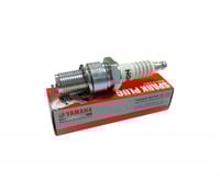 بوجي بانشي وكالة